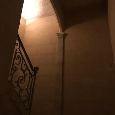 Apartment N°5 - Avec Jardin Au Coeur De L'hypercentre